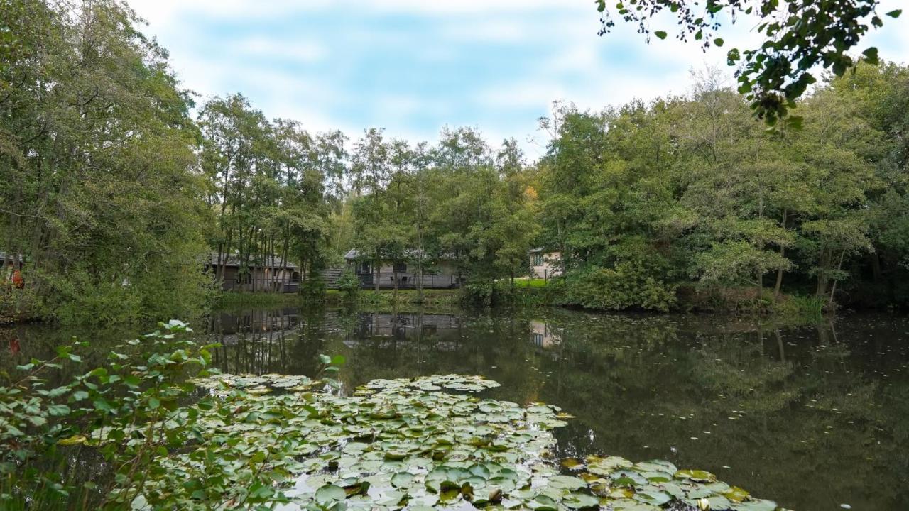 Warrenwood Country Park Otel Polegate Dış mekan fotoğraf